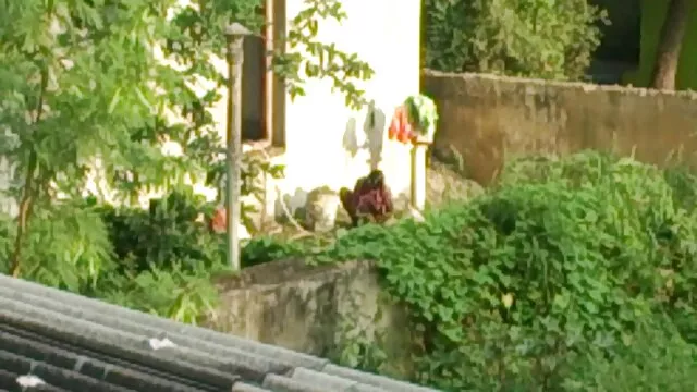 স্বামী ও বাংলা xxx ছবি স্ত্রী, শ্যামাঙ্গিণী