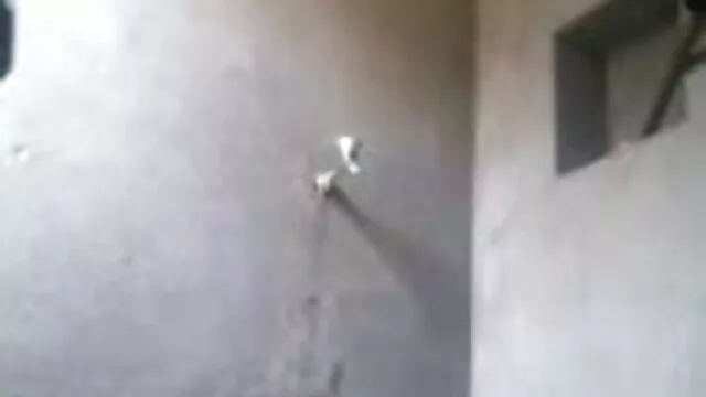 সুন্দরি সেক্সি মহিলার, বাংলা xxx video hd ওয়েবক্যাম
