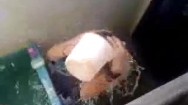 মেয়ে বাংলা xxx video সমকামী