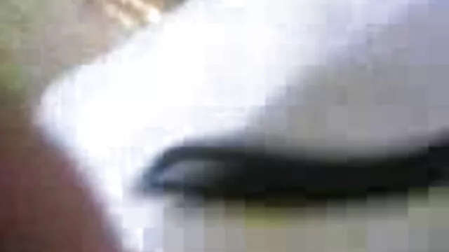 আমার বোন এবং বাংলা xxx video com ভক্তি পুত্র ব্যক্তিগতভাবে তার সমালোচনা রান্নাঘর
