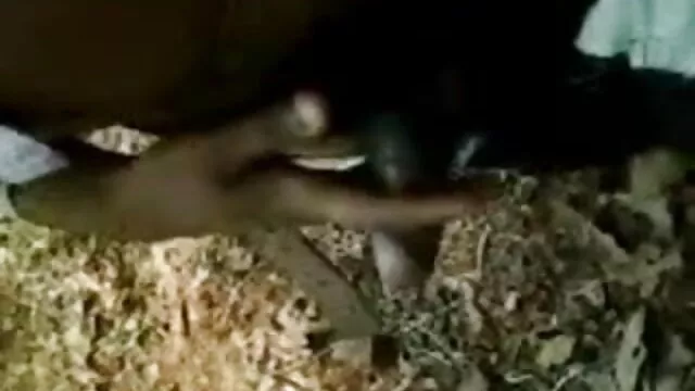 স্বামী ও বাংলাxxx vido স্ত্রী