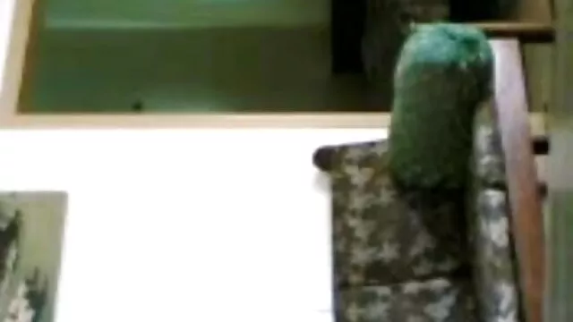 মেয়ে সমকামী বাংলা xxx www