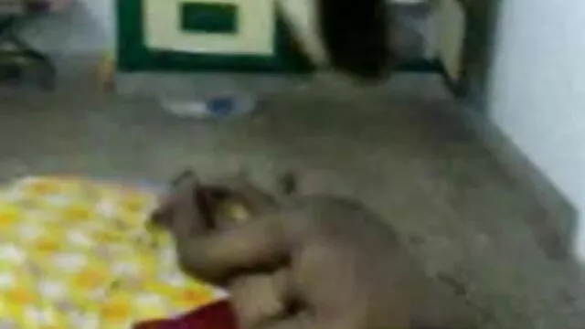 পুরানো-বালিকা বন্ধু বাংলা xxx ভিডিও hd