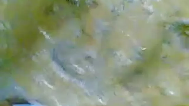 সুন্দরী বাংলা xxx ছবি বালিকা