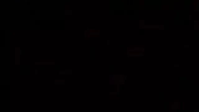 লাইভ বাংলা www xxx খেলা ওয়াইল্ডলাইফ_