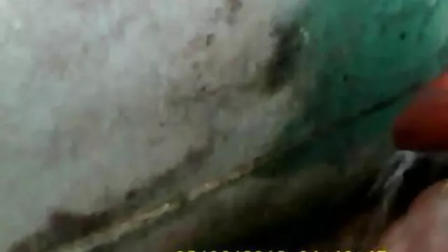 স্বামী ও স্ত্রী hd বাংলাxxx