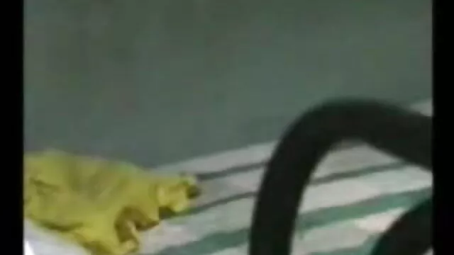 আমার বাংলা xxx video hd ইউক্রেনীয় মা
