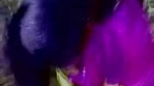 মেয়ে বাংলাxxx vdo সমকামী খেলনা