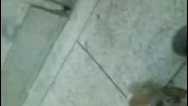 সুন্দরি নতুন বাংলাxxx সেক্সি মহিলার, পরিণত