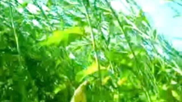 সুন্দর, বাংলাxxx hd দুর্দশা,