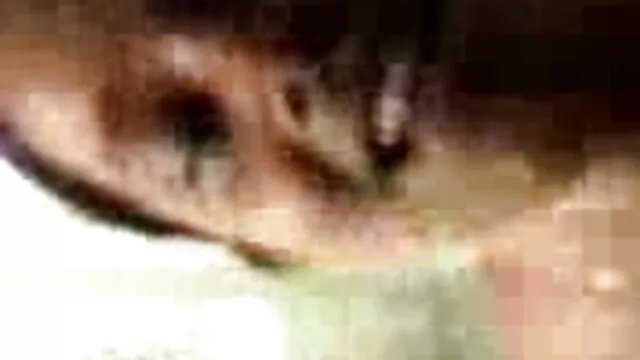 প্রচণ্ড বাংলা www xxx উত্তেজনা