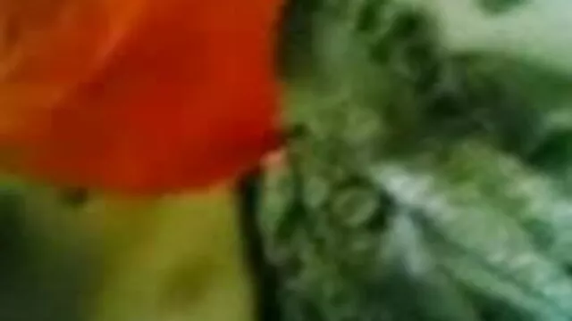 বাঁড়ার রস বাংলাxxx v খাবার