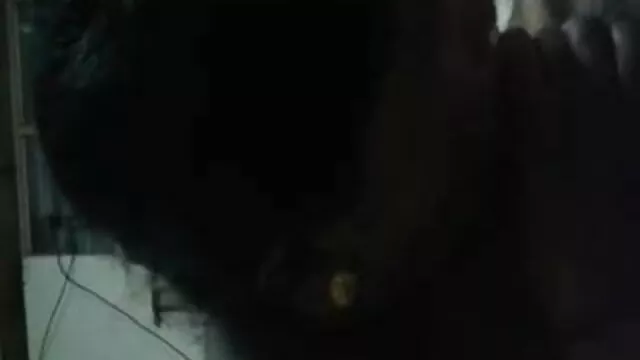 ফটো দেখুন বাংলাxxx v ছবি লুকান
