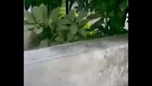বাঁড়ার রস খাবার, video বাংলা xxx স্বর্ণকেশী