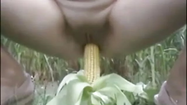 স্বামী বাংলা xxx 3 ও স্ত্রী,